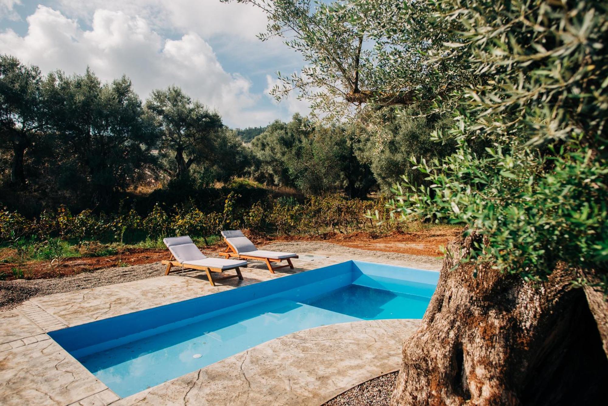 Apolpaina Villa Di Vino מראה חיצוני תמונה