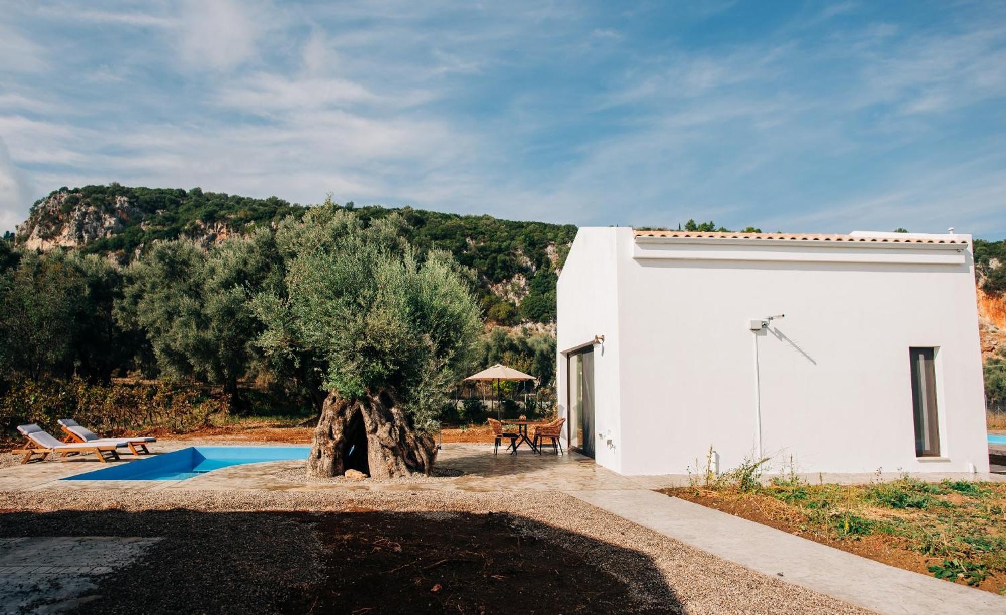 Apolpaina Villa Di Vino מראה חיצוני תמונה